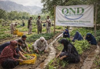 New Project - 2026-03-04T145617.671