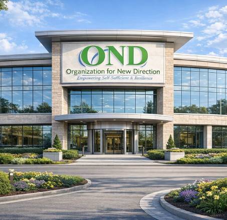 New Project - 2026-03-05T113253.752